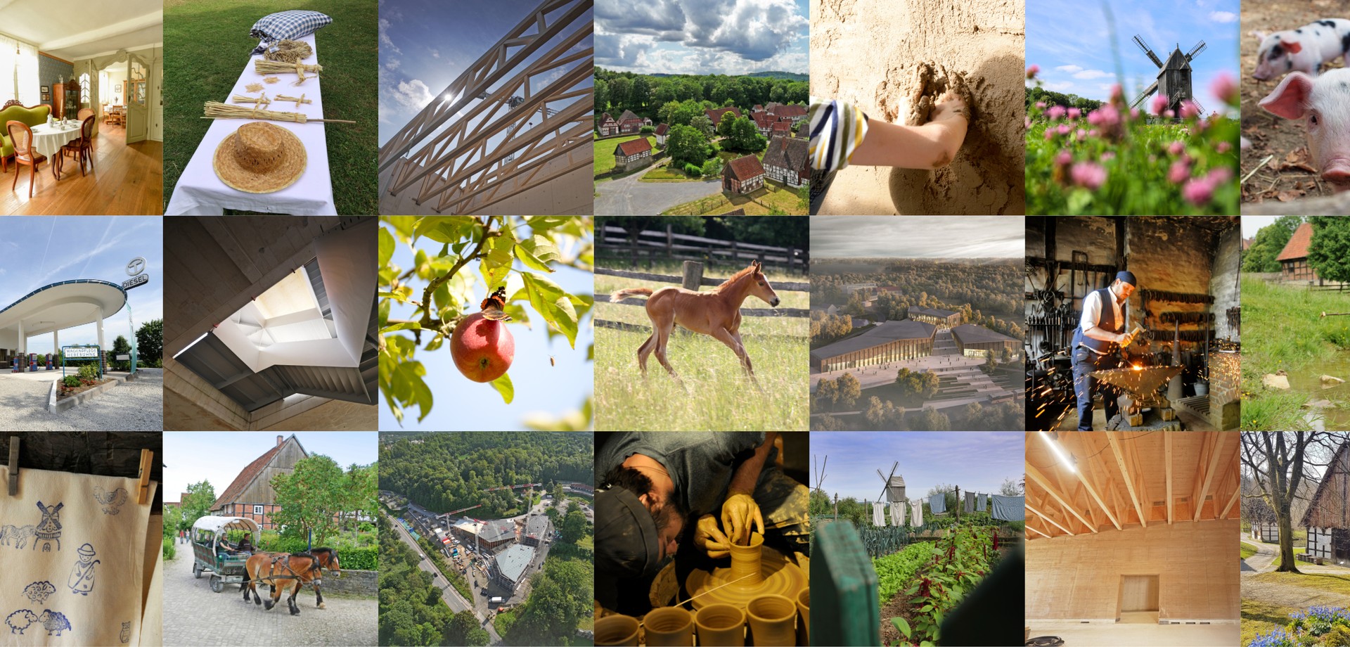 Ein Mosaik aus verschiedenen Bildern aus dem Freilichtgelände und dem Eingangs- und Ausstellungsgebäude.