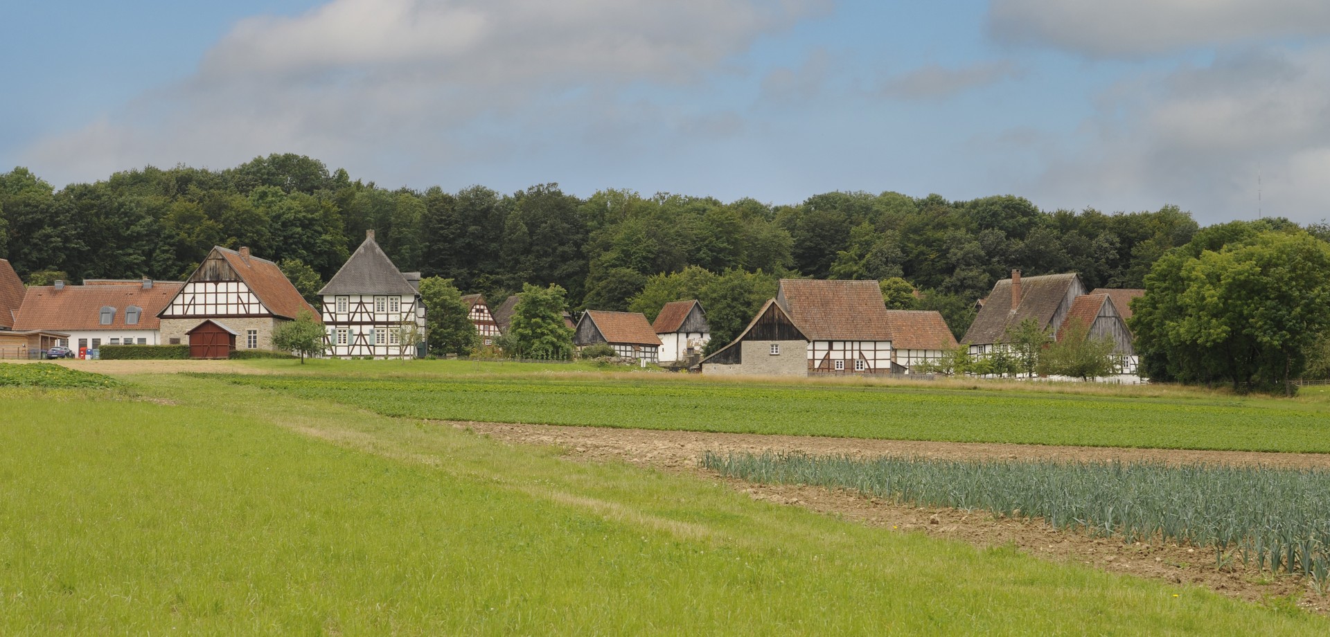 Ein Panoramabild des Paderborner Dorfes im Freilichtgelände, davor ein grünes Feld.