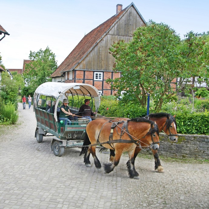 Eine Pferdekutsche mit zwei Zugpferden fährt durch das Paderborner Dorf. (vergrößerte Bildansicht wird geöffnet)