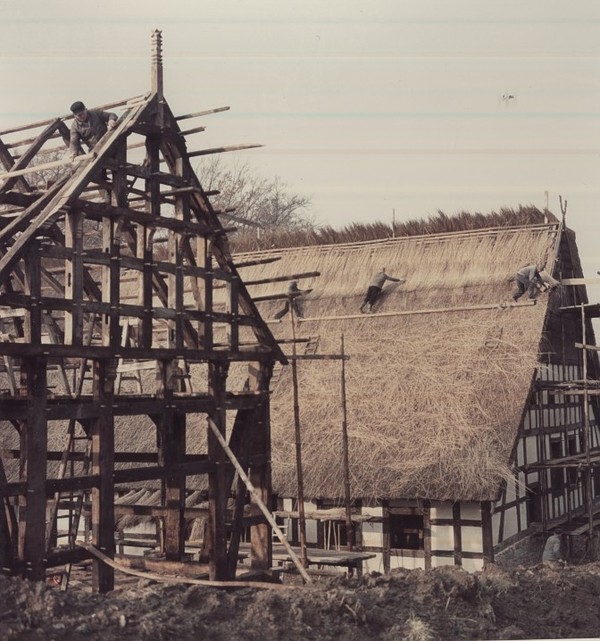 historisches Foto vom Osnabrücker Hof im Aufbau. Das Reetdach des  Haupthauses wird gerade gedeckt, im Vordergrund ein Fachwerkgerippe.