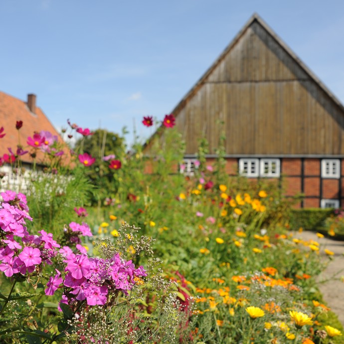 Im Vordergrund ein Blumenbeet, im Hintergrund ein Fachwerkhaus (vergrößerte Bildansicht wird geöffnet)