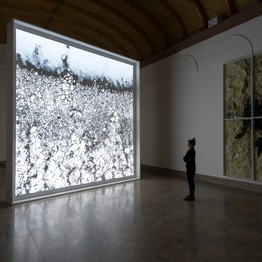Ansicht der Kunstinstallation La mémoire des glaciers von Angelika Markul. Eine Frau steht vor der Installation und sieht ein abstraktes Bild.